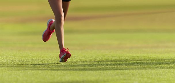 ランナー選手の足が草の上を走る。女性フィットネス日光ジョギングワークアウト。スポーツ選手のアクティブライフスタイルの概念。日没市公園の間に草の上を走る足のアスレチックペア。 - 写真・画像