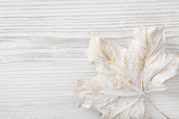 White Wooden Background, Maple Leaf Decoration as Winter Color - Φωτογραφία, εικόνα