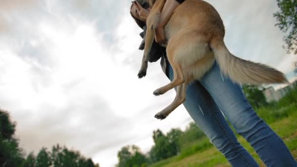 Genç bir kız köpeğini kollarına alır eğlenceli ve komik bir şekilde sevgiyle. - Video, Çekim
