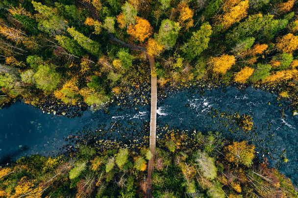 Aerial view of fast river flow through the rocks and colorful forest. Autumn in Finland - Foto, Imagen