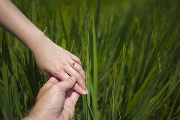 Romantic marriage proposal . close up hands of couple in love hold�ng together , the woman with engagement ring on her finger isolated on green field background - Φωτογραφία, εικόνα