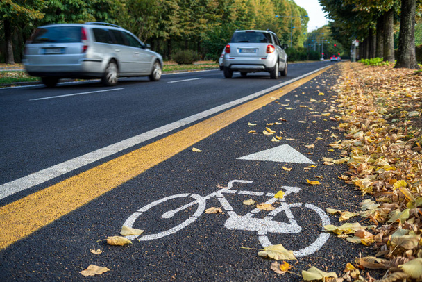 Bicycle lane in autumn - Photo, Image