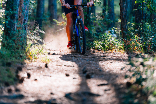 Mies maastopyörä ratsastaa polku läpi metsän taas
  - Valokuva, kuva