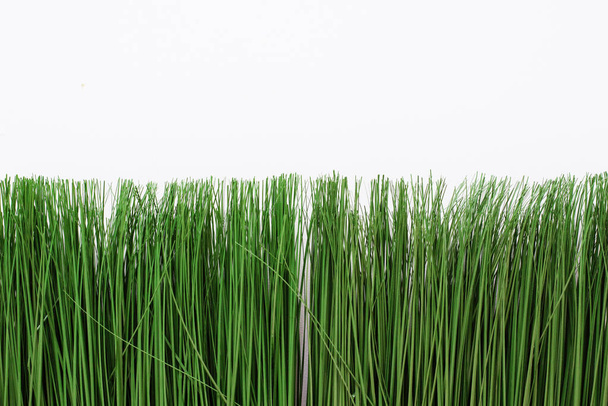 green artificial grass on a white background. Thin grass in a bright pot. - Photo, Image