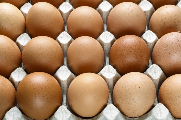 brown chicken eggs close up - Foto, immagini