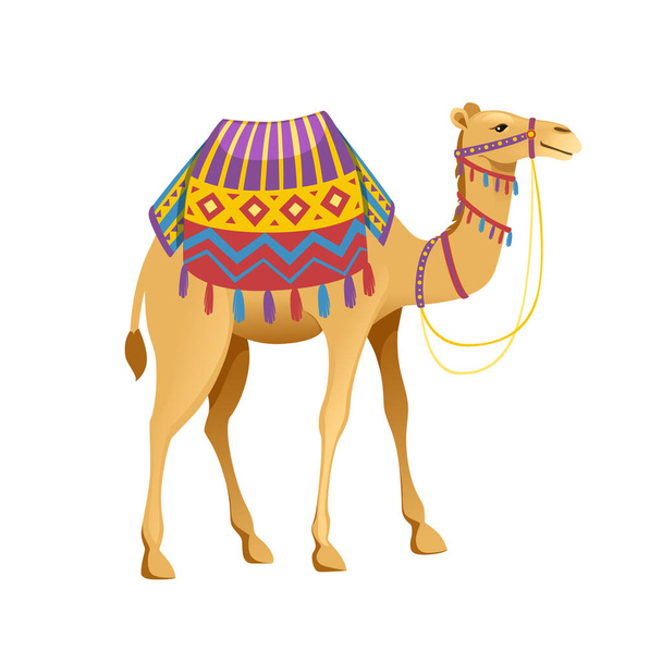 niedlichen zwei Höcker Kamel mit Zaumzeug und Sattel Cartoon Tier Design flache Vektor Illustration isoliert auf weißem Hintergrund - Vektor, Bild