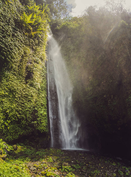 bali, fiji waterfall from the sekumbul waterfalls, indonesia, asia - 写真・画像