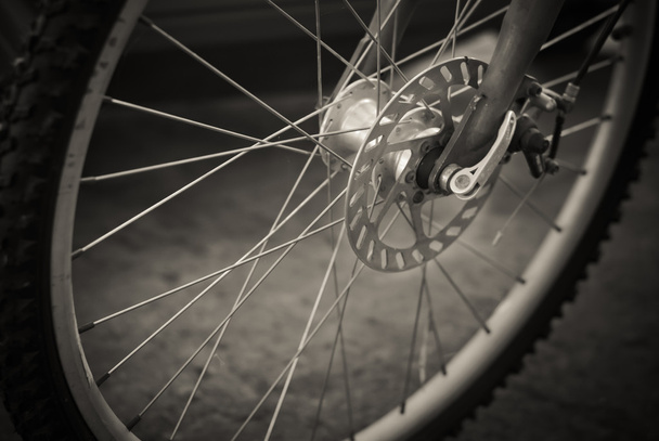 bicycle wheel - Foto, Bild