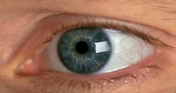 primo piano della pupilla dell'occhio umano. 4k
 - Filmati, video