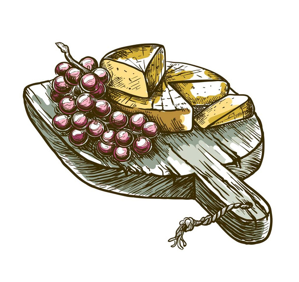 gourmet cheese and grapes. vector sketch on a white - Vector, Imagen