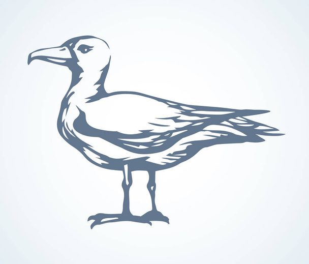 Vulture. Vector drawing icon sign - Vector, Image