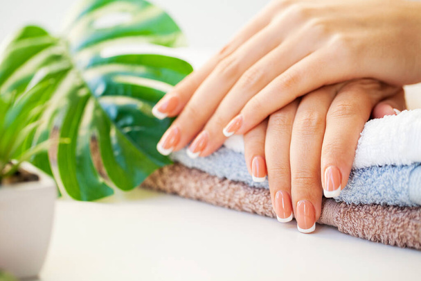 Spijkers geven erom. Mooie vrouwen nagels met franse manicure, in beauty studio - Foto, afbeelding