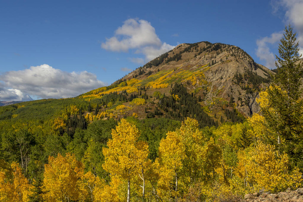 Autumn Colors on the Mountain on Ohio Pass, Near Crested Butte,  - Photo, Image