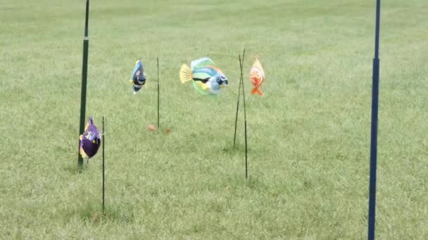 fish kites staked into the grass flying on a windy day - Footage, Video