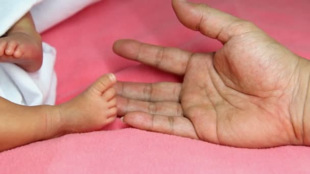 Vrouw hand aanraken pasgeboren baby voeten - Video