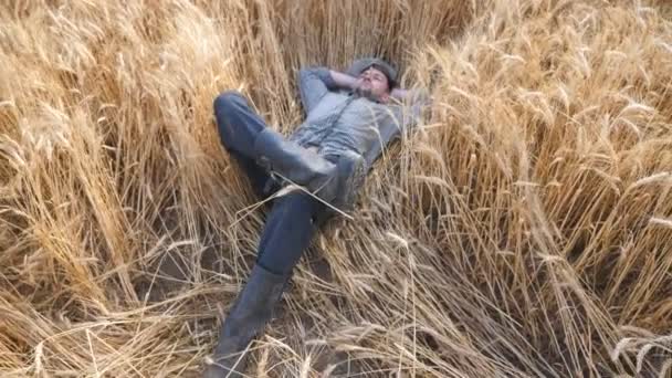 Dolly le disparó a un joven granjero tendiendo tallos de trigo y descansando en el prado de cebada. Hombre agrónomo acostado en tallos de cebada y relajante en el campo de cereales. Concepto de negocio agrícola. Movimiento lento - Metraje, vídeo