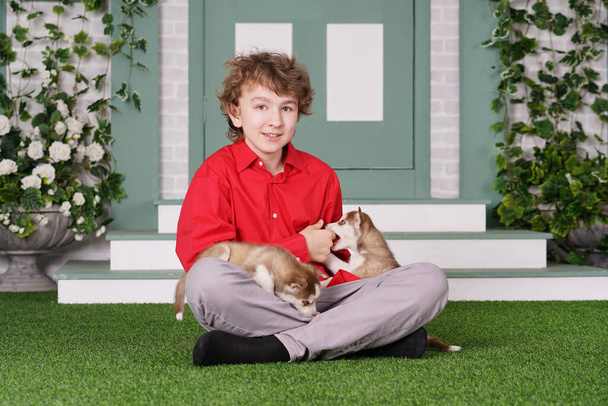 caucasico ragazzo in rosso camicia giocare con due carino husky cuccioli su il erba vicino il casa da solo
. - Foto, immagini