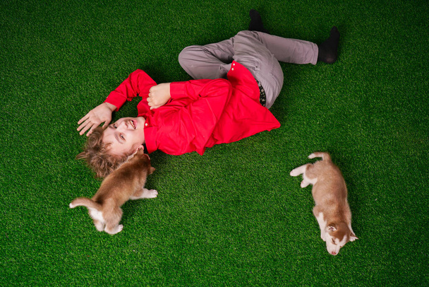 Valkoihoinen poika punaisessa paidassa leikkii kahdella söpöllä husky-pennulla nurmikolla yksin talon lähellä.
. - Valokuva, kuva