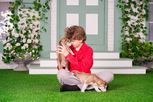 caucasian boy in red shirt playing with two cute husky puppies on the grass near the house alone. - Photo, Image