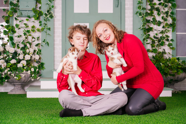 Mãe feliz e filho posar na grama verde com dois filhotes de cachorro husky bonitos
 - Foto, Imagem