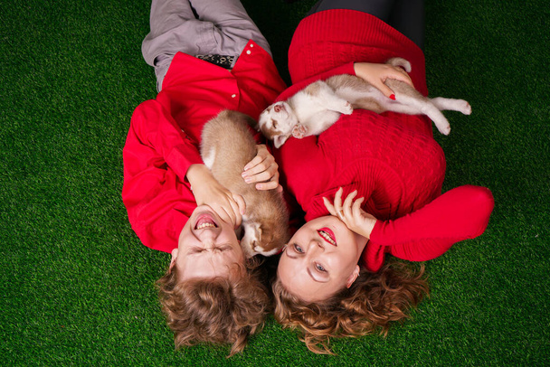 Happy mom and son pose on green grass with two cute little husky puppies - Foto, Imagen