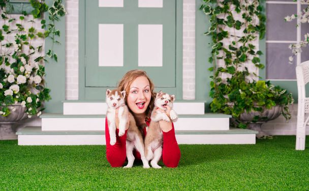 vrij Kaukasisch plus size vrouw in rode trui met twee schattige husky puppies op groen gras - Foto, afbeelding
