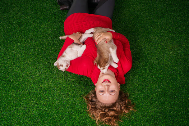 jolie caucasien plus taille femme en pull rouge avec deux chiots husky mignon sur herbe verte
 - Photo, image