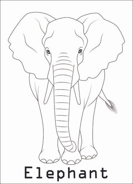 γραφικά σιλουέτας ελέφαντα disign Εικονογράφηση - Διάνυσμα, εικόνα