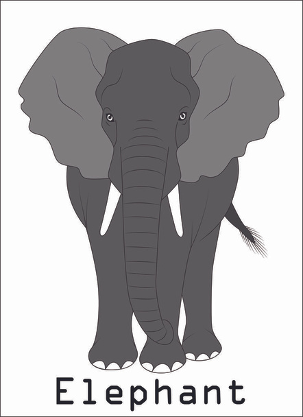 elefánt sziluett grafika disign Illusztráció - Vektor, kép