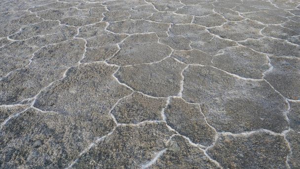 Natura crack terra sfondo texture in Emerald Salt Lake, Qin
 - Foto, immagini