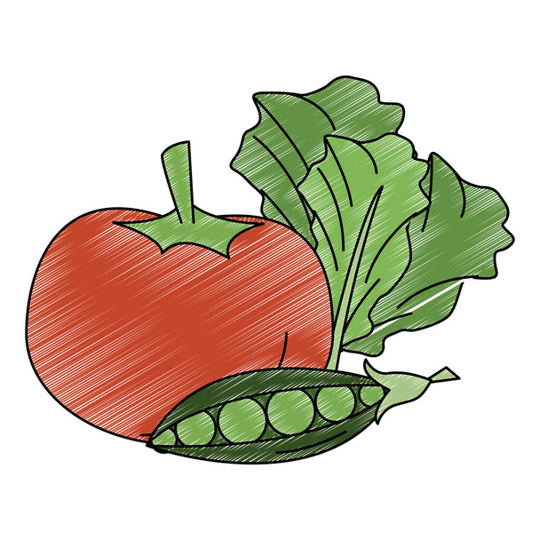 Tomaatti herneet ja salaatti tuoreet vihannekset raapustaa
 - Vektori, kuva