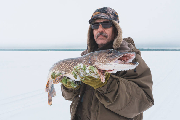 hombre celebración captura invierno pesca lucio pescado
 - Foto, Imagen