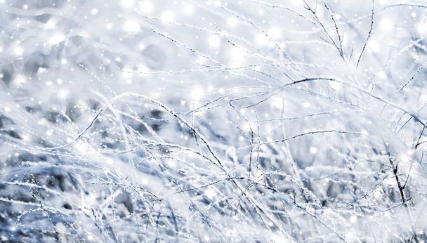 Winter holiday background, nature scenery with shiny snow and co - Photo, Image