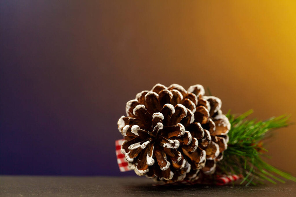 Šiška borovice s místem pro text na vánoční pozadí - Fotografie, Obrázek