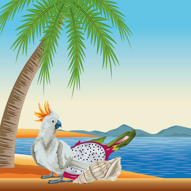 playa de verano y dibujos animados de vacaciones
 - Vector, Imagen