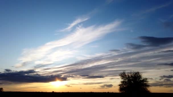 Prachtige zonsondergang over het veld. Eenzame boom in de zon. Verandering van wolken in de stralen van de avondzon. Tijdsverloop - Video