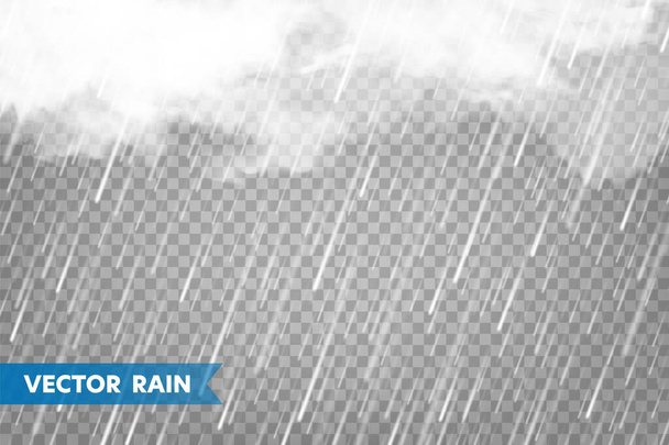 Realistische regen met wolken op transparante achtergrond. Regenval, water druppels effect. Herfst natte regenachtige dag. Vector illustratie. - Vector, afbeelding