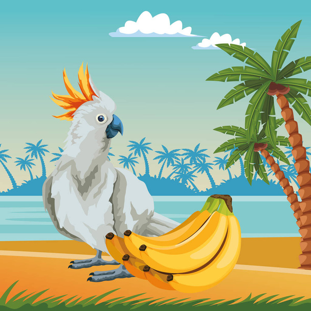papegaai wild kaketoe pictogram cartoon - Vector, afbeelding