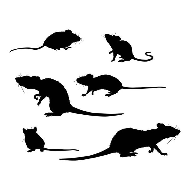 Vector Set of Rats and Mouses Black Silhouettes - Vector, Image