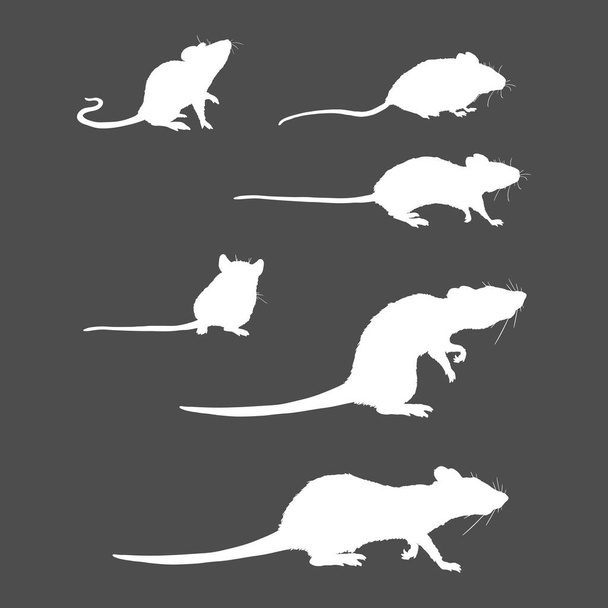 Vector Set of Rats and Mouses White Silhouettes - Vector, Image