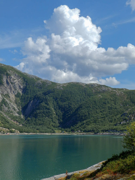 landscape with rocky fjord coast, beautiful flowers and shrubs - Φωτογραφία, εικόνα
