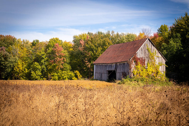 Old abandoned barn in the field autumn season landscape - Photo, Image