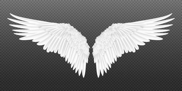 Realistic wings. Pair of white isolated angel wings with 3D feathers on transparent background. Vector bird wings design - Vector, Image
