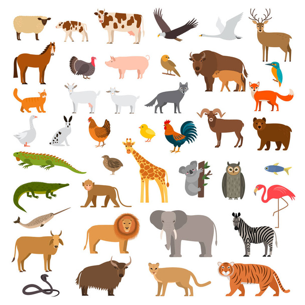 Un gran conjunto de africanos, bosques y animales y aves de la granja con los cachorros. Oso, vaca, elefante, león. vector plano
 - Vector, imagen