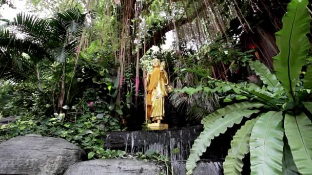 Buddha statue - Filmati, video