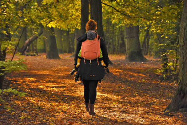  young woman walks through the autumn forest with a baby in a baby backpack - Foto, imagen