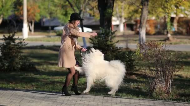 Een meisje in een herfstjas traint een hond in een park. Een vrouw met een kapuchon traint een hond op straat. De hond staat op zijn achterpoten. - Video