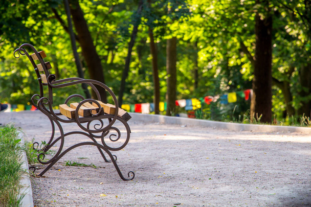 пустая скамейка в утреннем парке среди беговой дорожки и деревьев
 - Фото, изображение