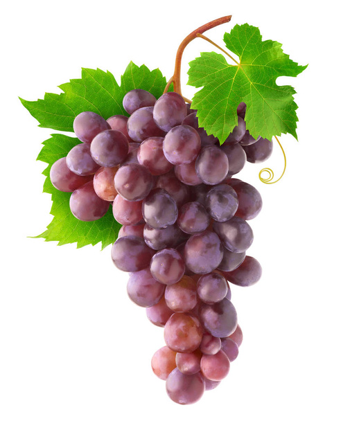 geïsoleerde rode druiven - Foto, afbeelding