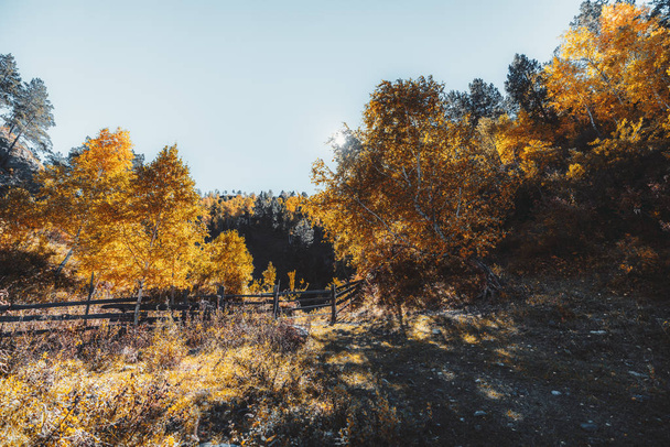 Wide-angle autumn scene with a fence - Φωτογραφία, εικόνα